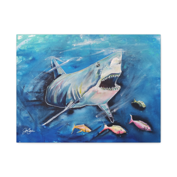 Great White Shark with Fish Matte Stretched Canvas — Marine Wall Art by Jen Callahan
