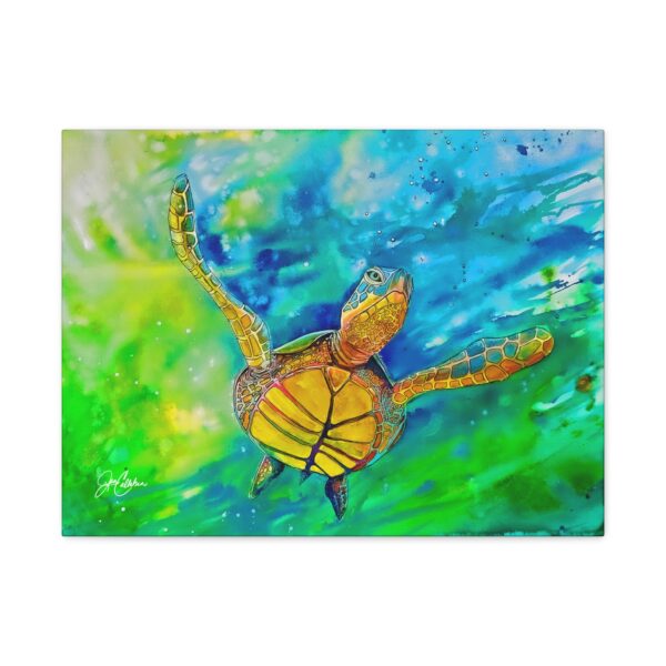 Jen Callahan Art | Turtle Belly Matte Canvas Art — Cute Beach House Wall Decor
