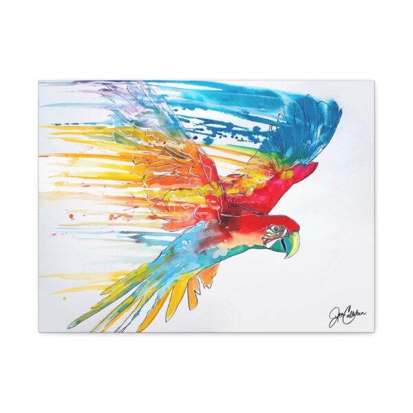 Rainbow Macaw painted by Jen Callahan Printed on Canvas Wall Art — Stretched 1.25"