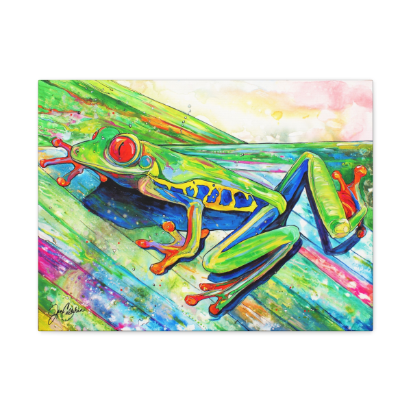 Red Eye Costa Rican Frog Canvas Print — Gallery-Wrapped Matte Canvas