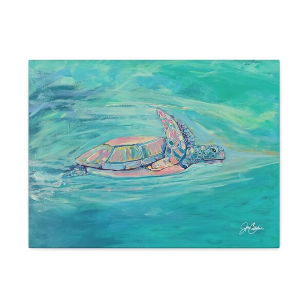 Jen Callahan Art | Turquois Turbo Sea Turtle Canvas Print — Beach House Wall Art, Ready to Hang